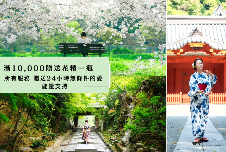 傳統陰陽術課程