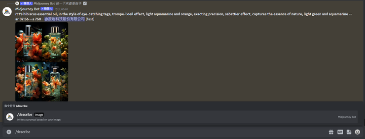 在訊息中打入"/describe"便會出現這個選單