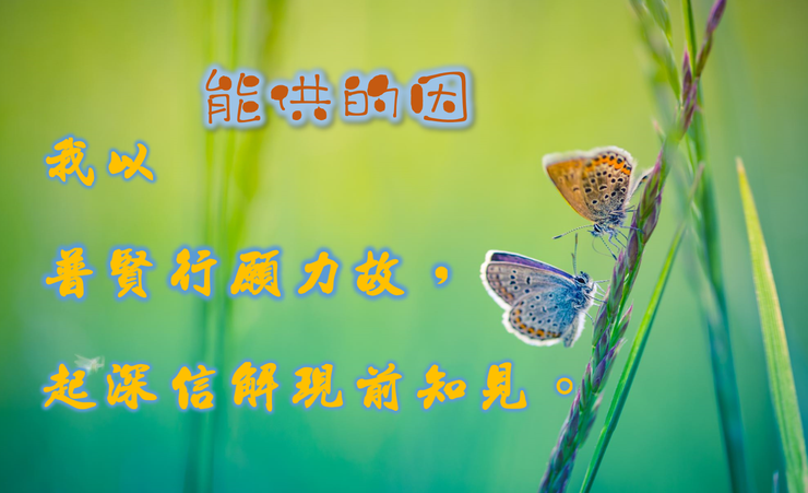 raw-image
