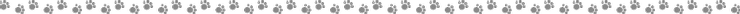 raw-image