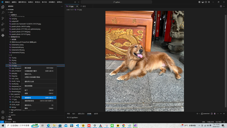 raw-image