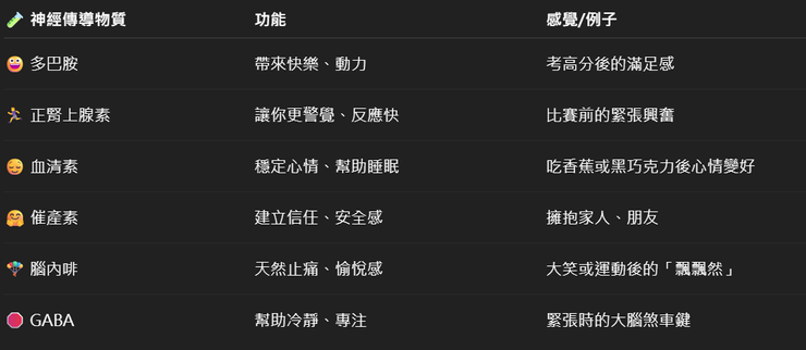 常見的神經傳導物質(chatGPT整理)