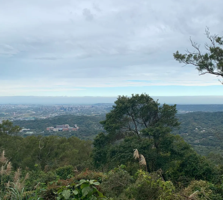 飛鳳山上的展望