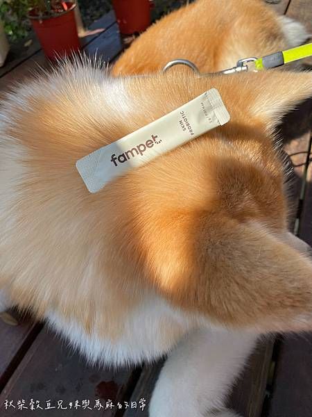 【寵物保健品】Fampet 犬貓專用益生菌-皮膚保健|#益生
