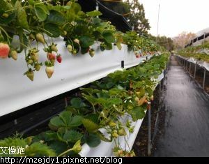 DSCN9661.JPG