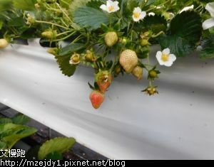 DSCN9655.JPG