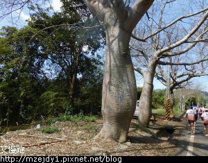 DSCN0178.JPG