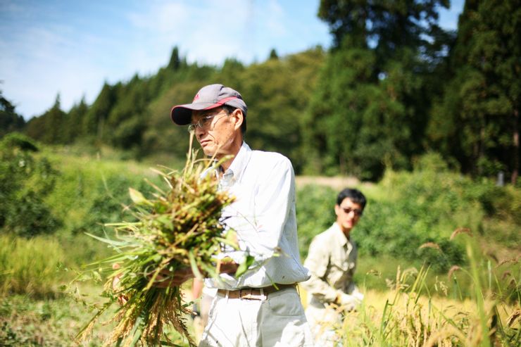 ▲日本當地農夫若井明夫,全程教授香港團隊種植技巧。(阿G 攝)